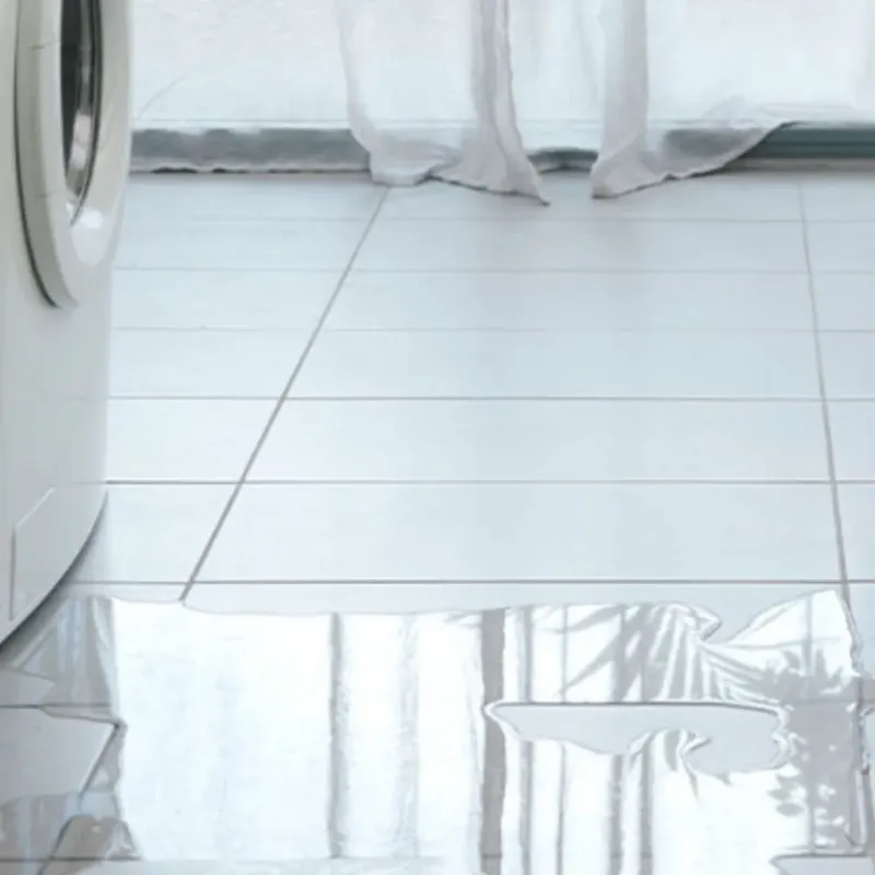 Appliance Leak Cleanup in Franklin County, KS