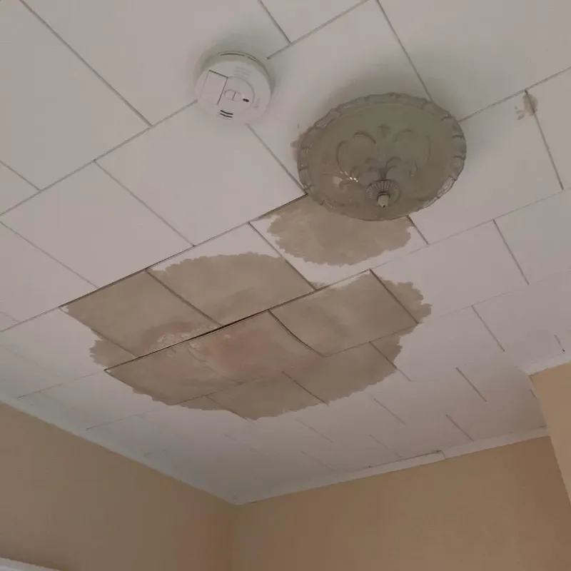 Ceiling Water Damage Repair in Franklin County, KS