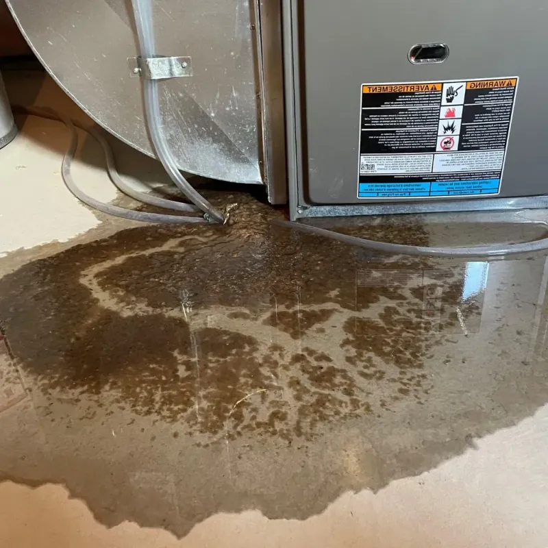 Pipe Burst and Leak Restoration in Franklin County, KS
